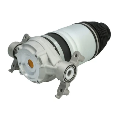 Abbildung von Magnum Technology MZW004MT Luftfeder, Fahrwerk Hinterachse, rechts