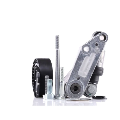 Abbildung von INA 533 0097 10 Riemenspanner BMW: 3 Saloon, 5 Touring