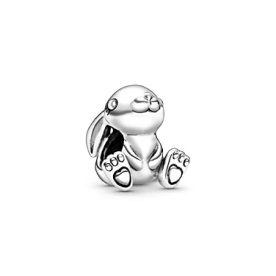 Abbildung von Pandora Moments Damen Charm Silber 798763C00