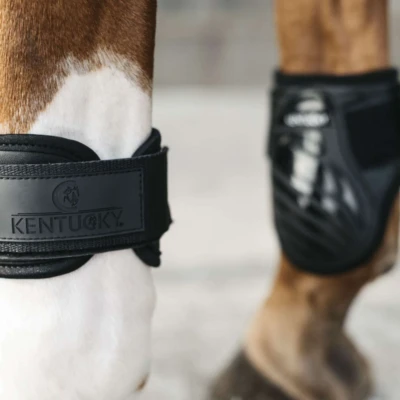 Abbildung von Kentucky Horsewear Streichkappen Young Horse Schwarz S