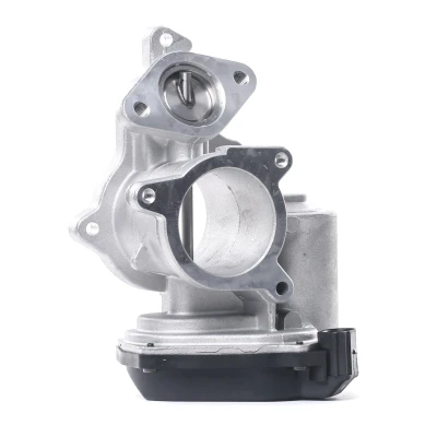 Abbildung von DELPHI EG10404 12B1 AGR Ventil mit Dichtungen AUDI: A4 B7 Avant, A6 C6 Saloon kfzteile, mister auto, atp autoteile, kfzteile24