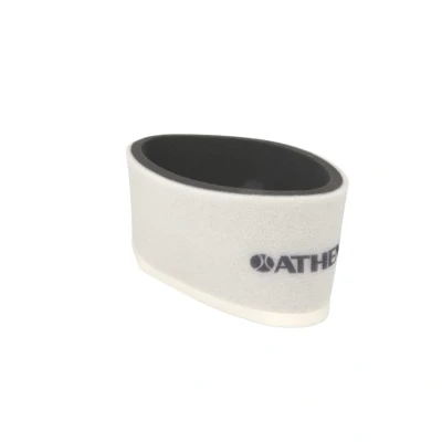 Abbildung von Luftfilter ATHENA S410250200022