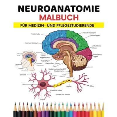Abbildung von Neuroanatomie Malbuch für Studierende Der Medizin und Krankenpflege: einfache effektivste Weg, Studenten zu lernen