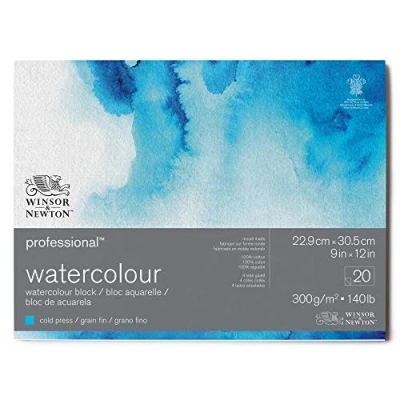 Abbildung von Winsor &amp; Newton 6664002 Professional Aquarellpapier im Block 20 Blatt 22,9 x 30,5cm, 300g/m², Feinkorn, helles natürliches weißes Papier in archivierbarer Qualität, gilbbeständig