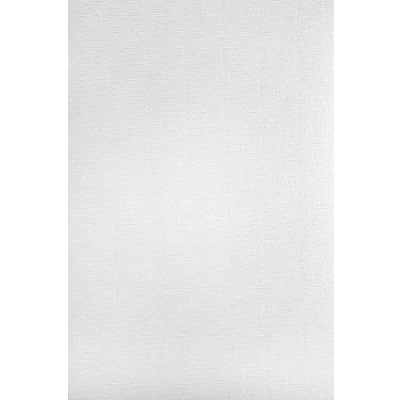 Abbildung von Netuno 100x weiß Bastelkarton gerippt mit Wasserzeichen DIN A4 297x 210mm 220g Aster Laid White Ausstattungs Karton hochwertig Effektkarton Motivkarton Designkarton Urkundenkarton