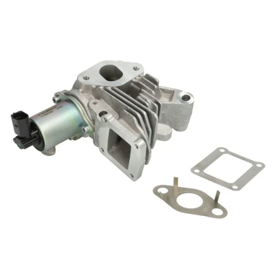 Abbildung von WAHLER 710959D/1 AGR Ventil elektrisch mit Dichtung RENAULT: GRAND SCENIC 2, MEGANE 2 Kombi