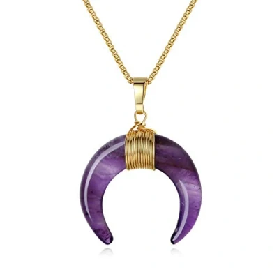 Abbildung von COAI Geschenkideen Damen Halskette mit Horn Mond Anhänger aus Amethyst