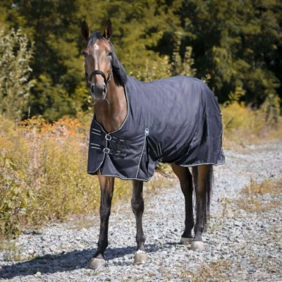 Abbildung von Riding World Regendecke Oxford 300D 0g Schwarz 155/206