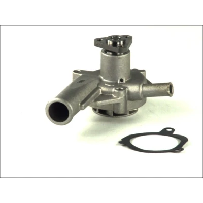 Abbildung von THERMOTEC D1G030TT Wasserpumpe mit Dichtung mechanisch FORD: Escort 5, FIESTA 3
