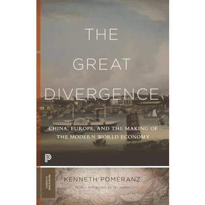 Abbildung von Great Divergence: China, Europe, and the Making of Modern World Economy (Princeton Classics)