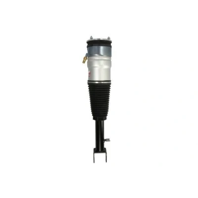 Abbildung von Magnum Technology APQ001MT Luftfederbein Vorderachse beidseitig TESLA: Model S