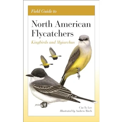 Abbildung von Field Guide to North American Flycatchers: Kingbirds and Myiarchus