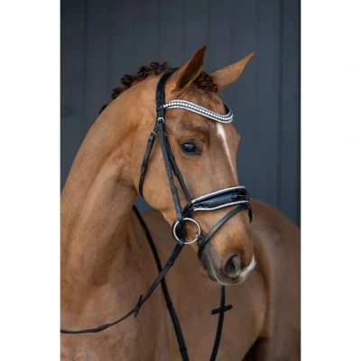 Abbildung von HB Zaum Showtime It is So Special Schwarz/Silber Glitzer Warmblut Agradi.deVerkauft von Agradi