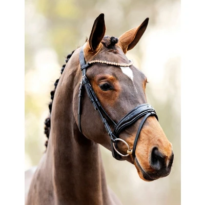 Abbildung von HB Showtime Trense Rose Gold Schwarz Pony