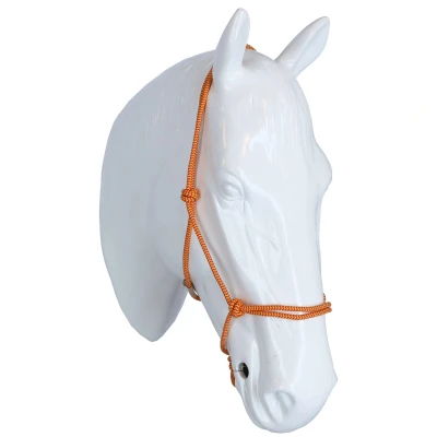 Abbildung von F.R.A. Reit Ausbildungshalfte Babia Ruchi Collection Nylon Rot/Gelb Pony
