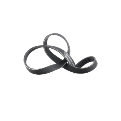 Abbildung von CONTITECH 5PK884 Keilrippenriemen 884 5 TOYOTA: RAV4 II Off Road, Corolla Verso, IX Hatchback, CITROËN: ZX FORD: FIESTA 4
