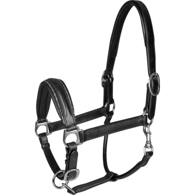 Abbildung von Waldhausen Halfter S Line Glamour Schwarz Vollblut