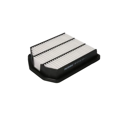 Abbildung von FILTRON AP 177/8 Luftfilter 54 200 264 Filtereinsatz KIA: CARENS 3, Magentis II, 2