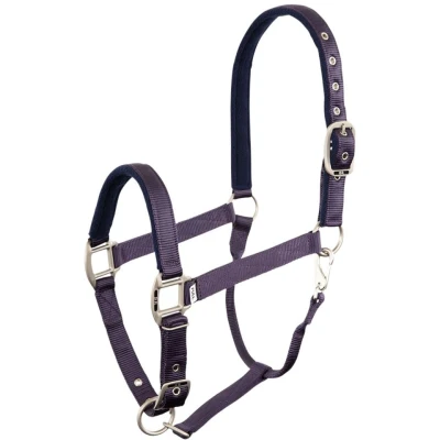 Abbildung von BR Halfter Event Doppelt Verstellbar Nightshade Pony