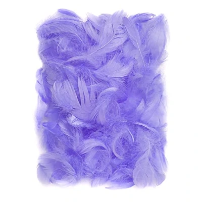 Abbildung von Netuno 150 Stück Deko Federn Beige 10g Flaumfedern Schmuckfedern Vogelfedern Bastelfedern Natur für DIY Basteln Dekoration Ostern Weihnachten Dekofigur