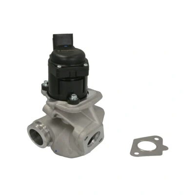 Abbildung von WAHLER 710929D/1 AGR Ventil elektrisch mit Dichtungen FORD: FIESTA 5, Fusion Estate, MAZDA: 2 Hatchback, PEUGEOT: 207 Hatchback