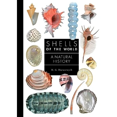 Abbildung von Shells of the World: A Natural History (Guide to Every Family, 10)