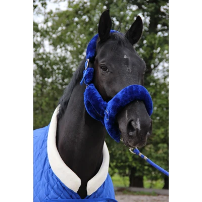 Abbildung von HB Showtime Halfter Fluffy Desir Royal Blue Shetland