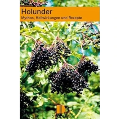 Abbildung von Holunder: Mythos, Heilwirkung und Rezepte: Heilwirkungen Rezepte