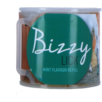 Abbildung von Bizzy Leckstein Minze