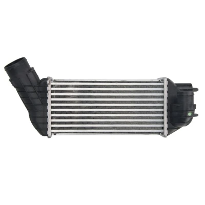 Abbildung von THERMOTEC DAC019TT Ladeluftkühler PEUGEOT: 5008 I, 308 I SW