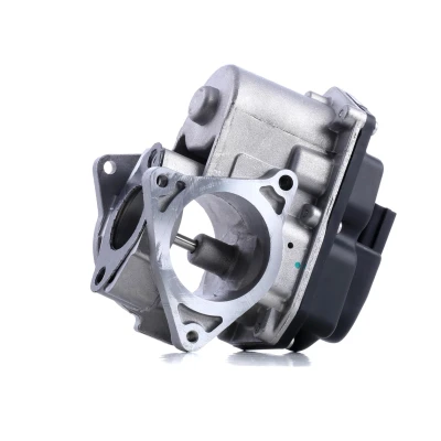 Abbildung von PIERBURG 7.10334.00.0 AGR Ventil elektrisch Steuerventil mit Dichtung VOLKSWAGEN: GOLF 6, Passat B6 Variant, B7 AUDI: A6 C6 Avant