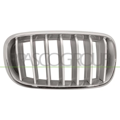 Abbildung von BLIC 6502 07 00969966P Kühlergrill vorne rechts titan, chrom BMW: X5