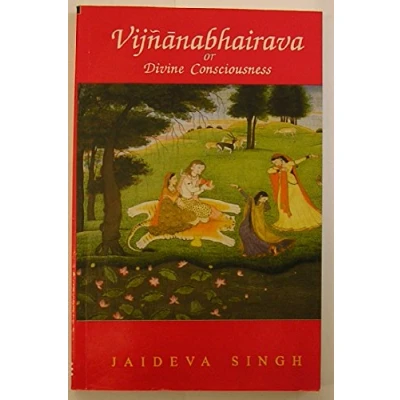 Abbildung von Vijnana bhairava or Divine Consciousness: A Treasury of 112 Types Yoga
