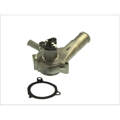 Abbildung von THERMOTEC D1G021TT Wasserpumpe mit Dichtung mechanisch FORD: Escort 5, FIESTA 3