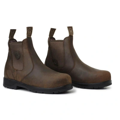 Abbildung von Mountain Horse Protective Jodhpur XTR Lite Braun 38