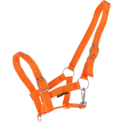Abbildung von Harry&#039;s Horse Fohlenhalfter Orange Fohlen