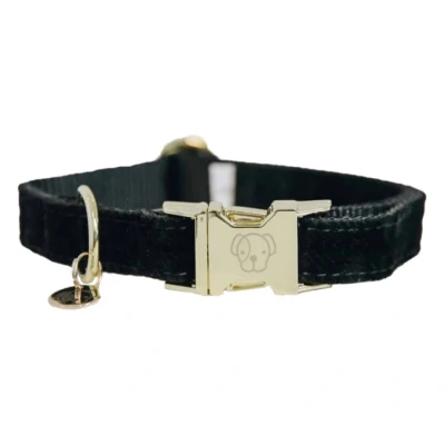 Abbildung von Kentucky Kragen Corduroy Schwarz 36 52cm