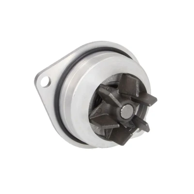 Abbildung von INA 538 0052 10 Wasserpumpe 19 für Zahnriementrieb PEUGEOT: 207 Hatchback, SW, 206 CITROËN: Berlingo II, Xsara Picasso, Estate