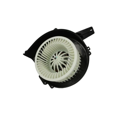 Abbildung von THERMOTEC DDS003TT Elektromotor, Innenraumgebläse VOLKSWAGEN: Polo V Hatchback, SEAT: Ibiza 3