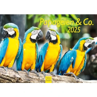 Abbildung von Edition Seidel Premium Kalender Papageien &amp; Co 2025 Format DIN A4 Wandkalender Tierkalender Papagei Kakadu Vögel Tiere Natur