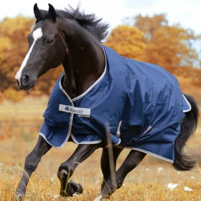 Abbildung von Bucas Freedom Turnout 150g Navy 145/198