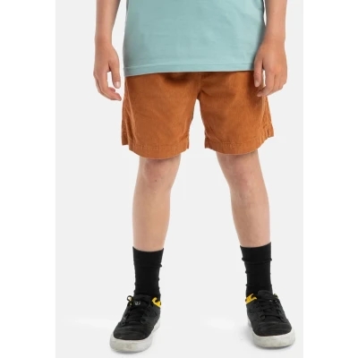 Abbildung von Quiksilver Bermudas »Taxer«