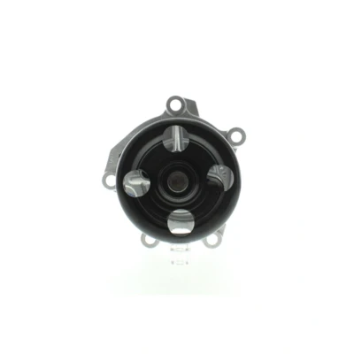 Abbildung von AISIN WPN 117 Wasserpumpe RENAULT: Clio 4