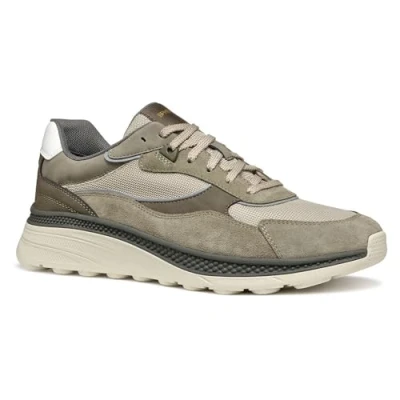 Abbildung von Geox Spherica Actif Sneaker low, Herren, Größe: 42, Sand sage Schuhe