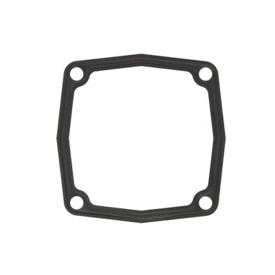 Abbildung von DT Spare Parts 4.20270 Dichtung