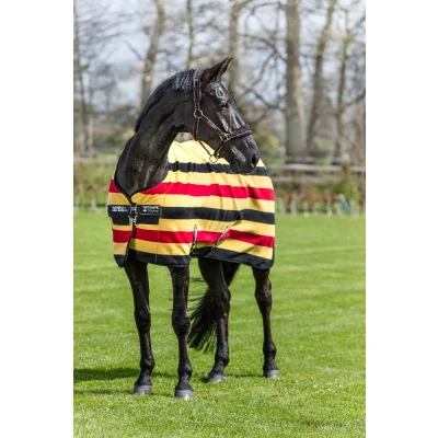 Abbildung von Horseware Rambo Deluxe Fleece Witney Gold