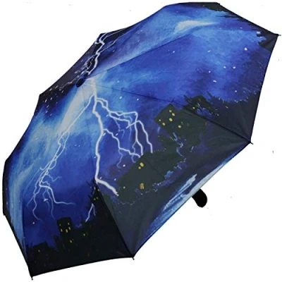 Abbildung von iX brella Regenschirm Thunderstorm Taschenschirm Auf Zu Automatik