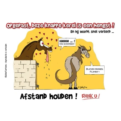 Abbildung von HB Stable Plate Beware Stallion