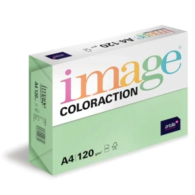 Abbildung von Image Coloraction Forest farbiges Kopierpapier DIN A4, 210 x 297 mm, 120 g/m² buntes, holzfreies Druckerpapier für Kopierer 250 Blatt Grün