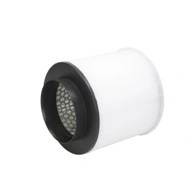 Abbildung von CORTECO 80005027 Luftfilter 152 160 Filtereinsatz AUDI: A8 D4